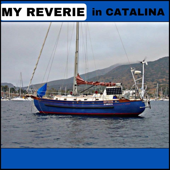 Meet your Posher, Leiza - Picture 5 of 7